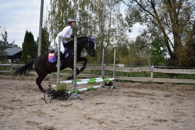 bABIE lATO 2018